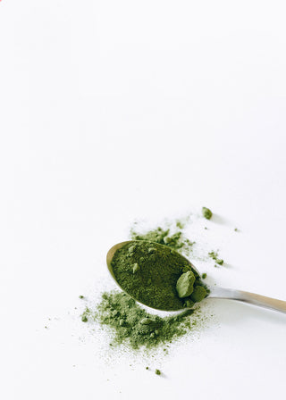 Matcha Tea - Brightly Labs