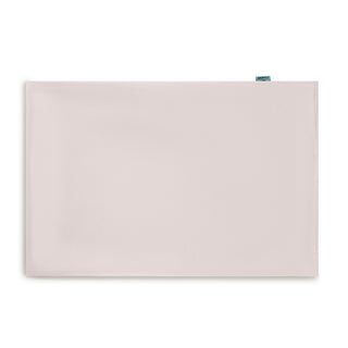 Brightly Labs® Silk Pillowcase - 22 Momme Mulberry Silk with Antibacterial Silver Ions for Luxurious Comfort