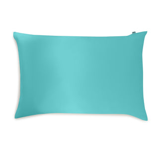 Brightly Labs® Silk Pillowcase - 22 Momme Mulberry Silk with Antibacterial Silver Ions for Luxurious Comfort