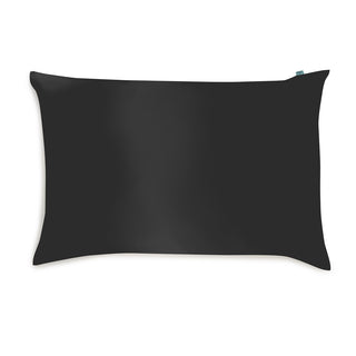 Brightly Labs® Silk Pillowcase - 22 Momme Mulberry Silk with Antibacterial Silver Ions for Luxurious Comfort